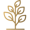 BIENESTAR